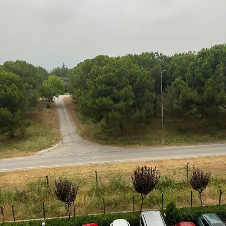 Bursa Bursa